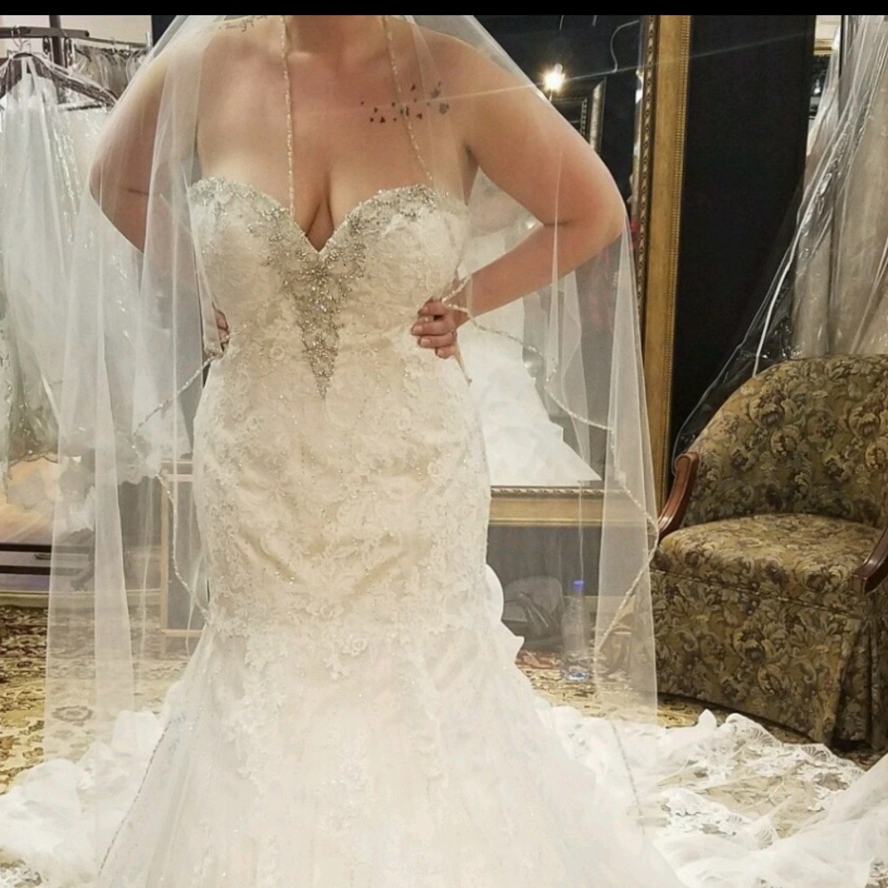 Elegant Lace Wedding Veil